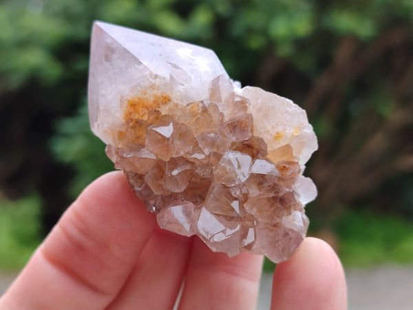 Natural Amethyst Spirit Quartz Crystals x 45 From Boekenhouthoek, South Africa