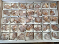 Natural Amethyst Spirit Quartz Crystals x 45 From Boekenhouthoek, South Africa