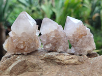 Natural Amethyst Spirit Quartz Crystals x 45 From Boekenhouthoek, South Africa