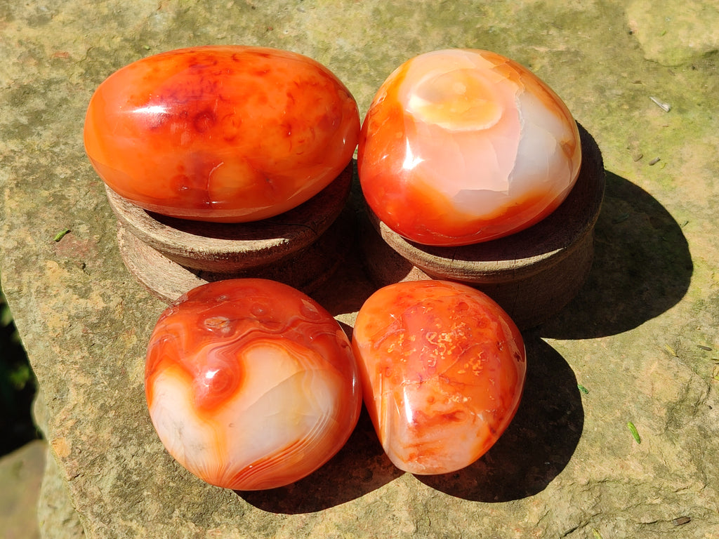 Polished Carnelian Palm Stones x 24 From Madagascar - Toprock Gemstones and Minerals 