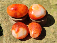 Polished Carnelian Palm Stones x 24 From Madagascar