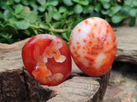 Polished Carnelian Palm Stones x 24 From Madagascar
