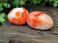 Polished Carnelian Palm Stones x 24 From Madagascar