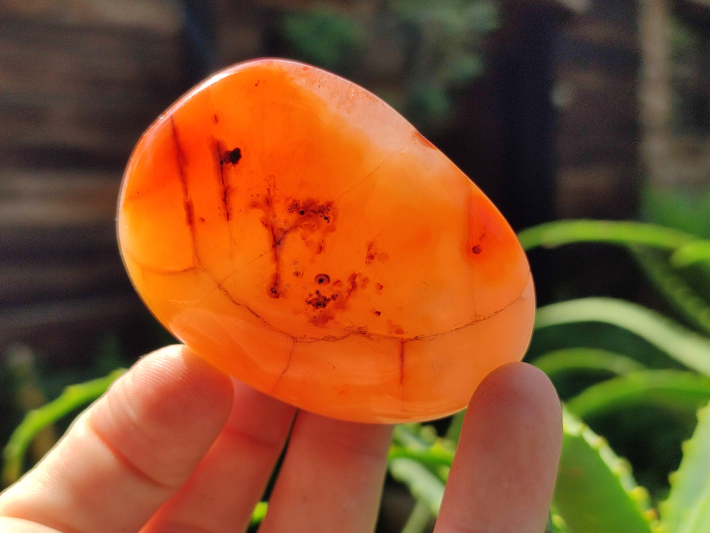 Polished Carnelian Palm Stones x 24 From Madagascar - Toprock Gemstones and Minerals 