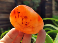 Polished Carnelian Palm Stones x 24 From Madagascar