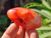 Polished Carnelian Palm Stones x 24 From Madagascar