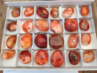 Polished Carnelian Palm Stones x 24 From Madagascar