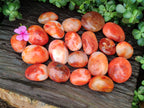 Polished Carnelian Palm Stones x 24 From Madagascar - Toprock Gemstones and Minerals 