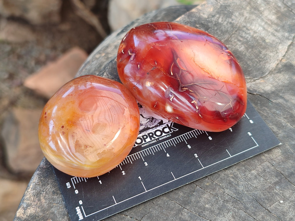 Polished Carnelian Palm Stones x 24 From Madagascar - Toprock Gemstones and Minerals 
