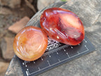 Polished Carnelian Palm Stones x 24 From Madagascar - Toprock Gemstones and Minerals 