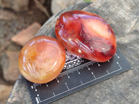 Polished Carnelian Palm Stones x 24 From Madagascar