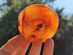 Polished Carnelian Palm Stones x 24 From Madagascar - Toprock Gemstones and Minerals 