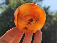Polished Carnelian Palm Stones x 24 From Madagascar