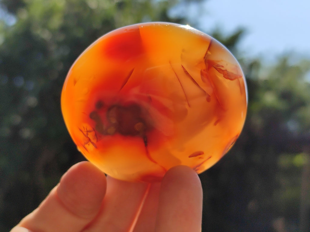 Polished Carnelian Palm Stones x 24 From Madagascar - Toprock Gemstones and Minerals 