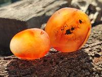 Polished Carnelian Palm Stones x 24 From Madagascar