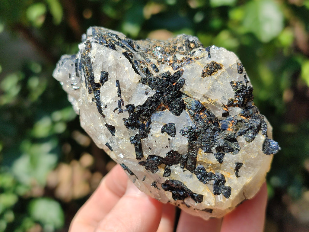 Natural Black Tourmaline On Quartz Matrix Specimens x 6 From Zimbabwe - Toprock Gemstones and Minerals 