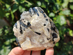 Natural Black Tourmaline On Quartz Matrix Specimens x 6 From Zimbabwe - Toprock Gemstones and Minerals 