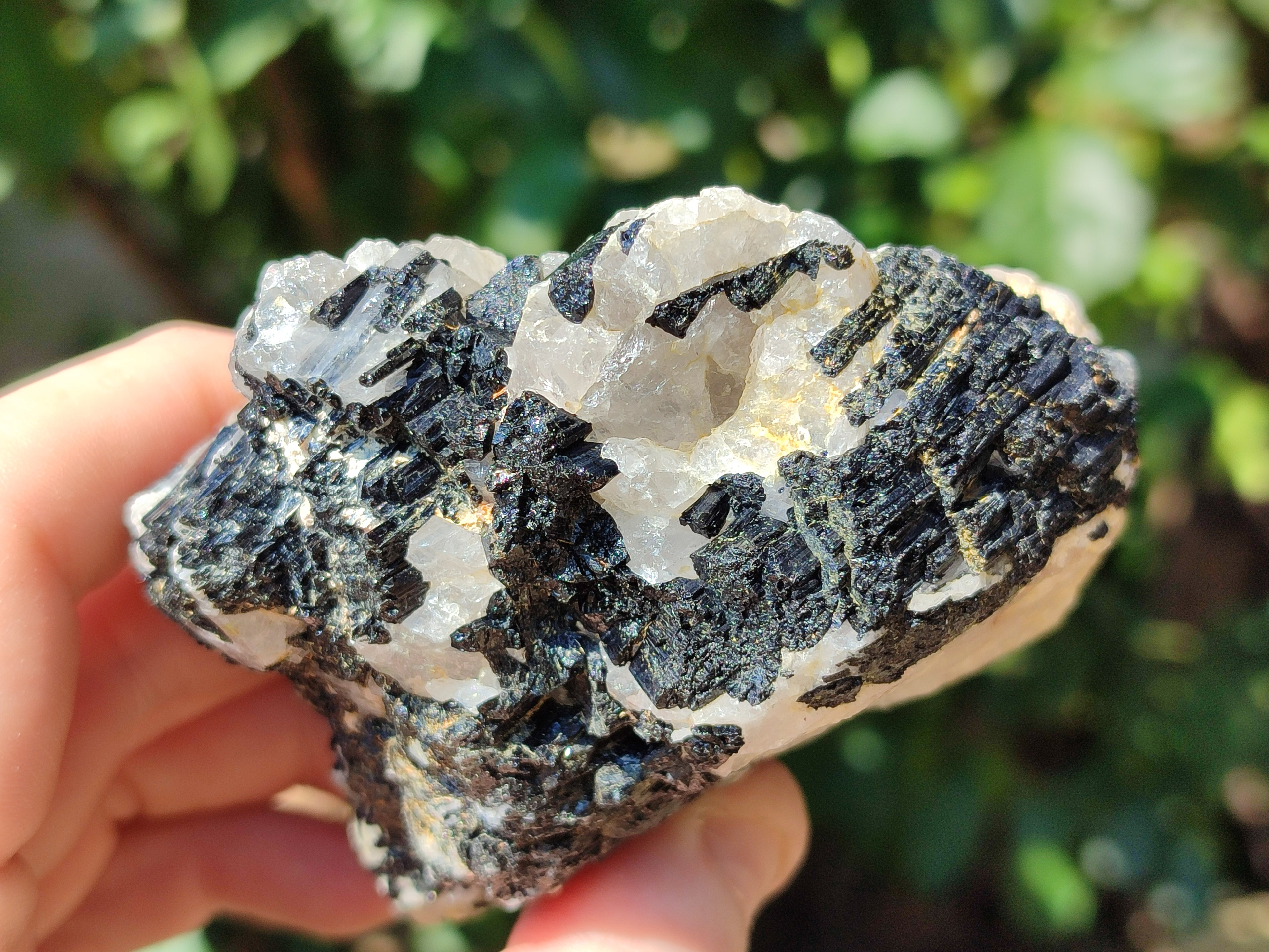 Natural Black Tourmaline On Quartz Matrix Specimens x 6 From Zimbabwe - Toprock Gemstones and Minerals 