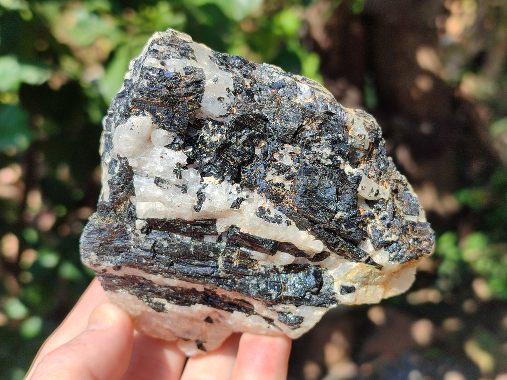 Natural Black Tourmaline On Quartz Matrix Specimens x 6 From Zimbabwe - Toprock Gemstones and Minerals 