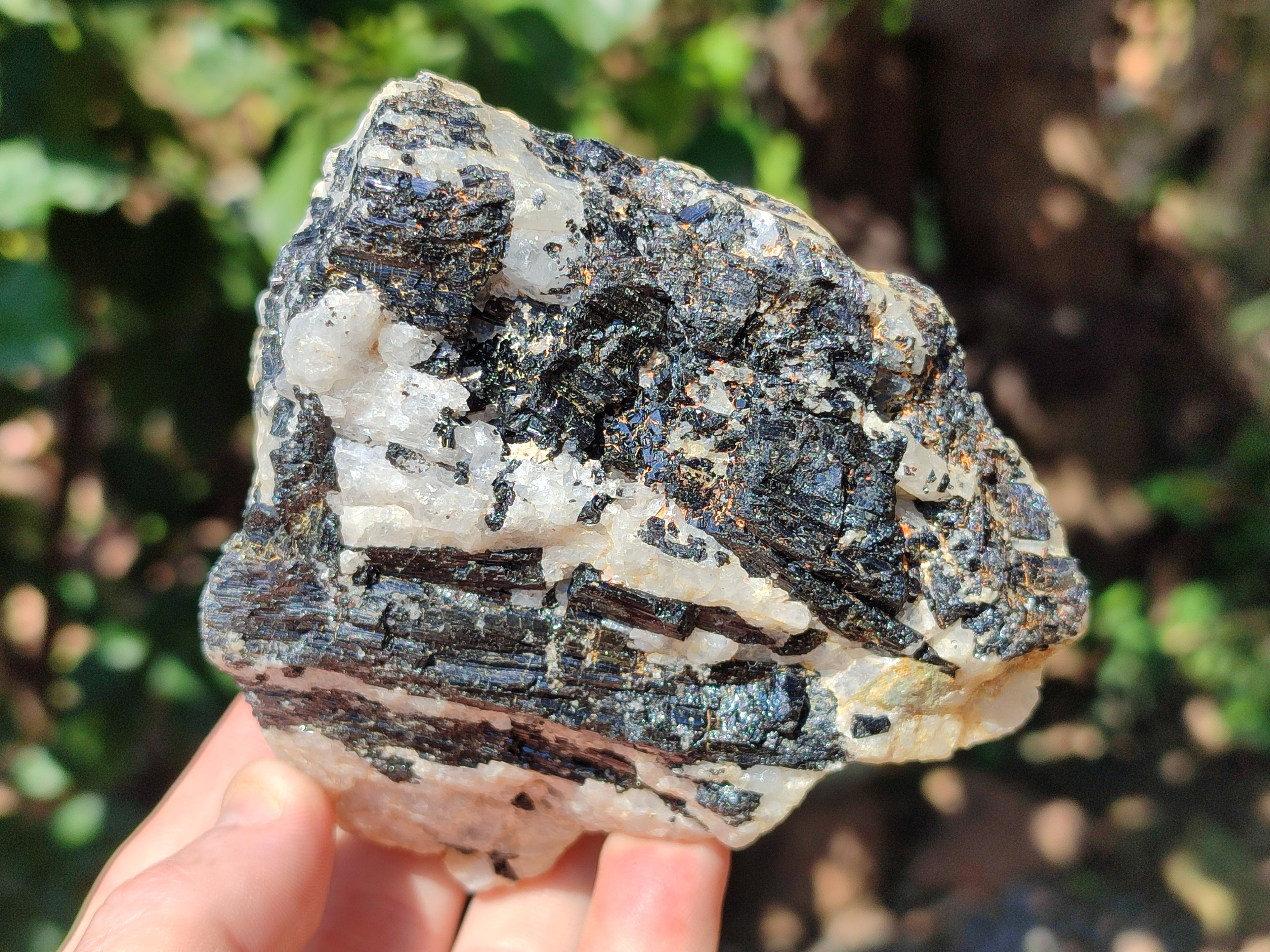Natural Black Tourmaline On Quartz Matrix Specimens x 6 From Zimbabwe - Toprock Gemstones and Minerals 