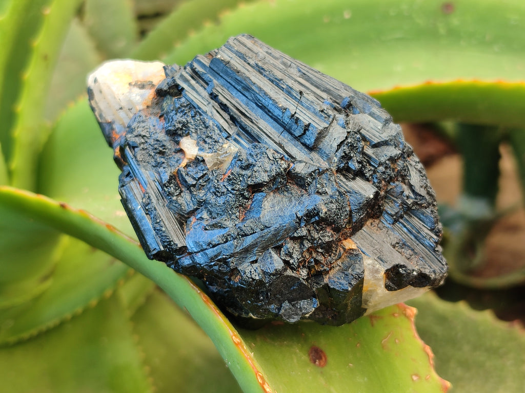 Natural Black Tourmaline On Quartz Matrix Specimens x 6 From Zimbabwe - Toprock Gemstones and Minerals 