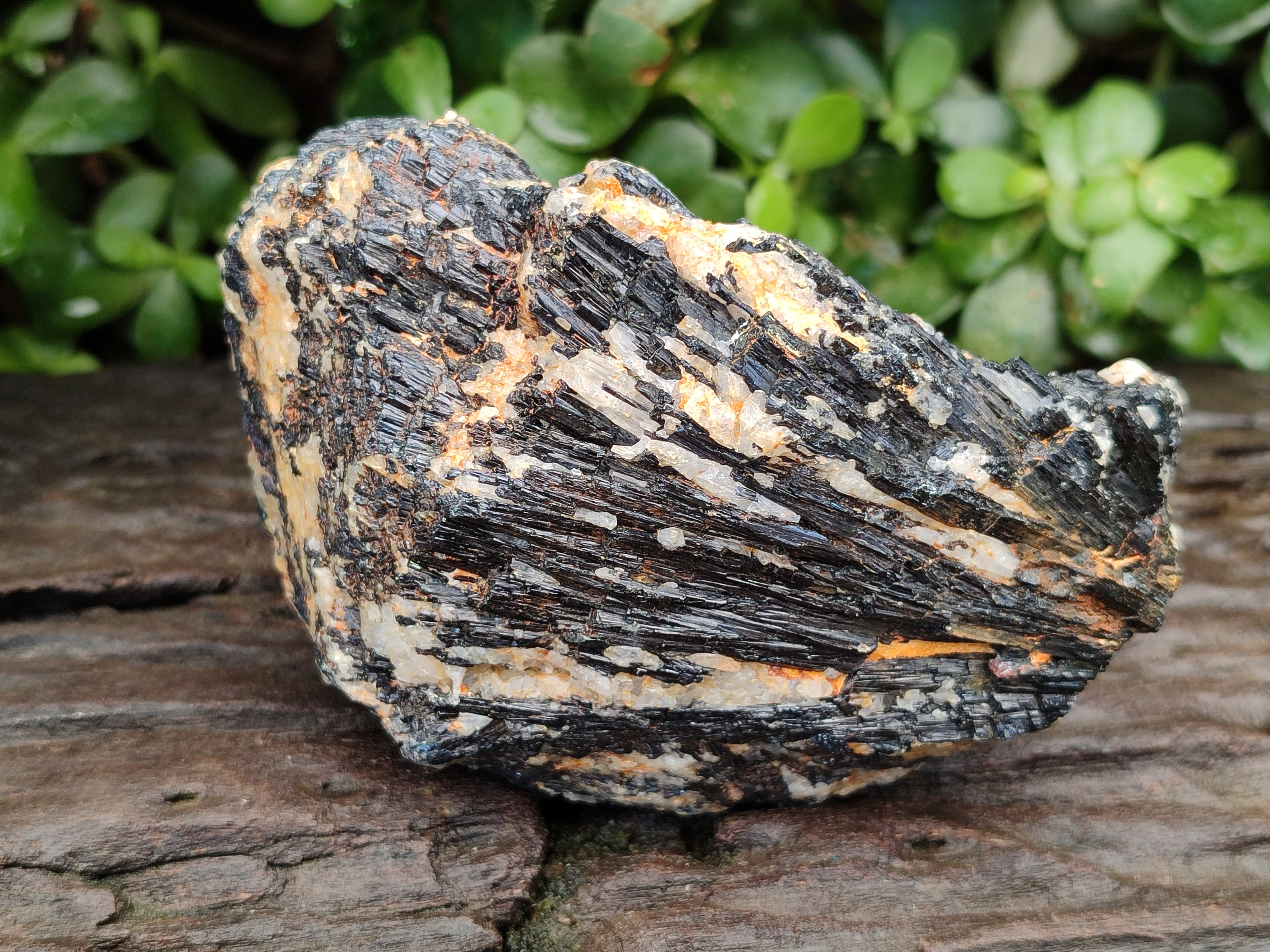 Natural Black Tourmaline On Quartz Matrix Specimens x 6 From Zimbabwe - Toprock Gemstones and Minerals 