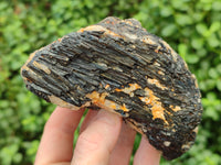 Natural Black Tourmaline On Quartz Matrix Specimens x 6 From Zimbabwe - Toprock Gemstones and Minerals 