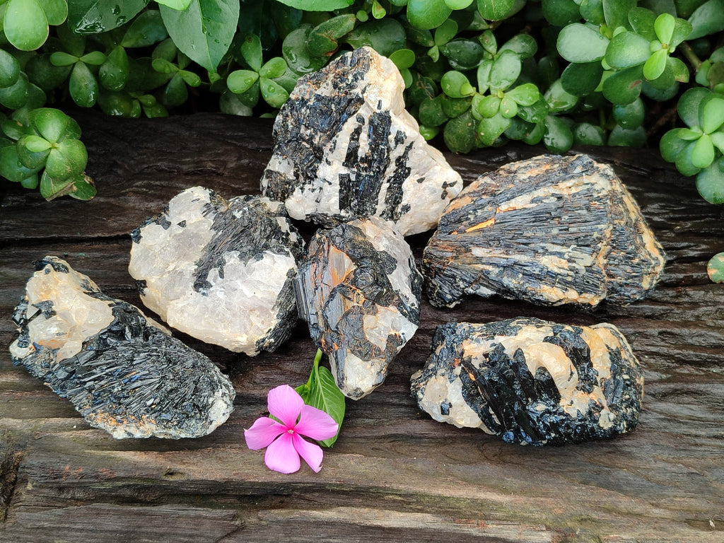 Natural Black Tourmaline On Quartz Matrix Specimens x 6 From Zimbabwe - Toprock Gemstones and Minerals 