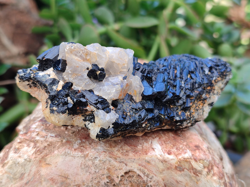 Natural Black Tourmaline On Quartz Matrix Specimens x 6 From Zimbabwe - Toprock Gemstones and Minerals 