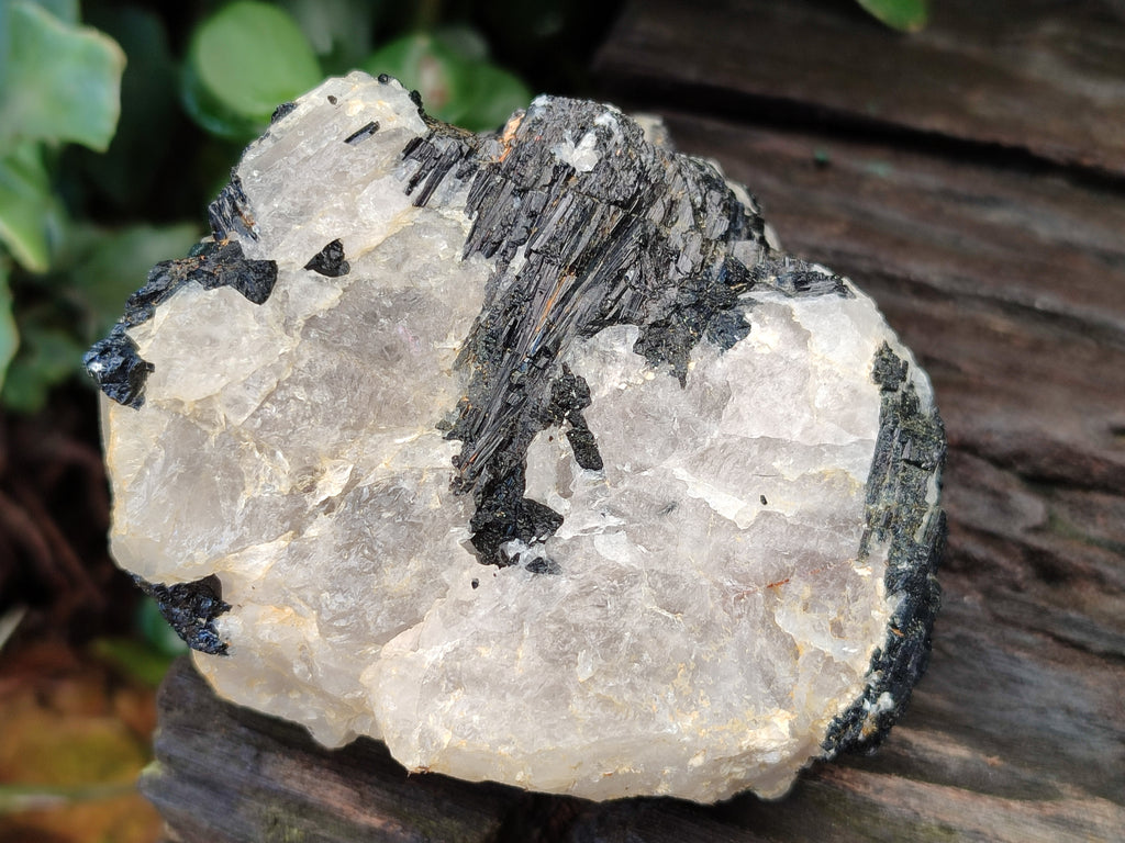 Natural Black Tourmaline On Quartz Matrix Specimens x 6 From Zimbabwe - Toprock Gemstones and Minerals 