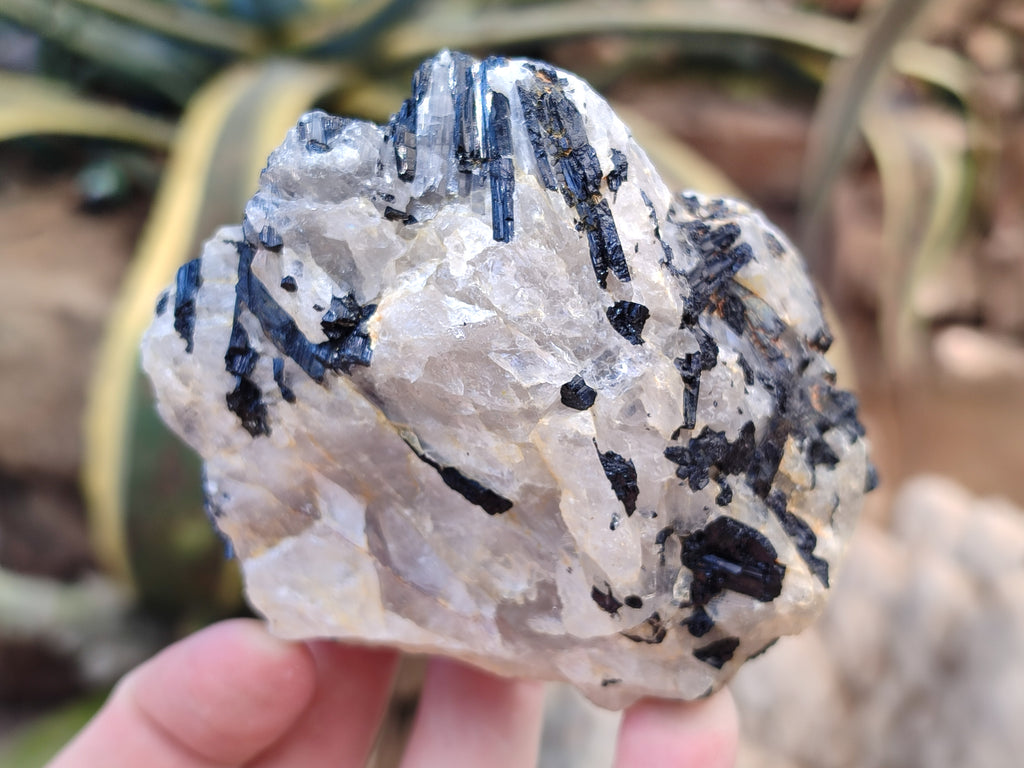 Natural Black Tourmaline On Quartz Matrix Specimens x 6 From Zimbabwe - Toprock Gemstones and Minerals 