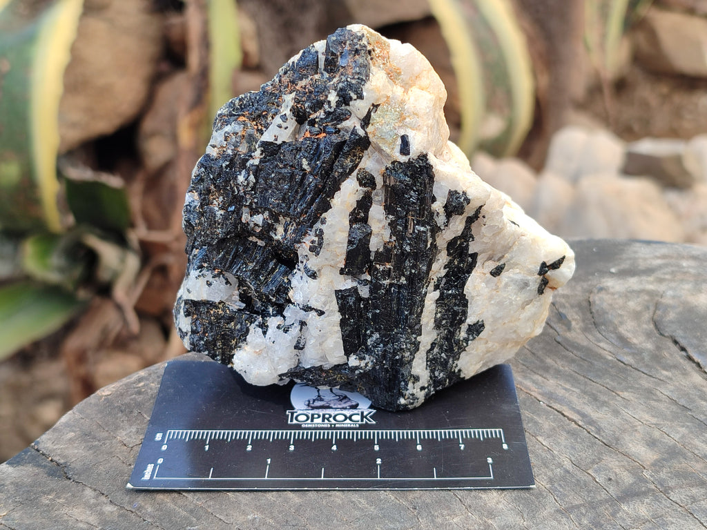 Natural Black Tourmaline On Quartz Matrix Specimens x 6 From Zimbabwe - Toprock Gemstones and Minerals 