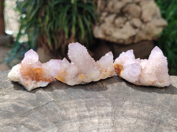 Natural Ametrine Spirit Quartz Clusters x 12 From Boekenhouthoek, South Africa