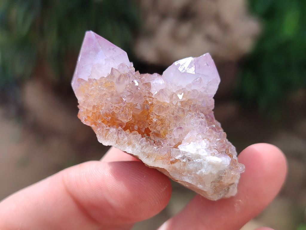 Natural Ametrine Spirit Quartz Clusters x 12 From Boekenhouthoek, South Africa - Toprock Gemstones and Minerals 