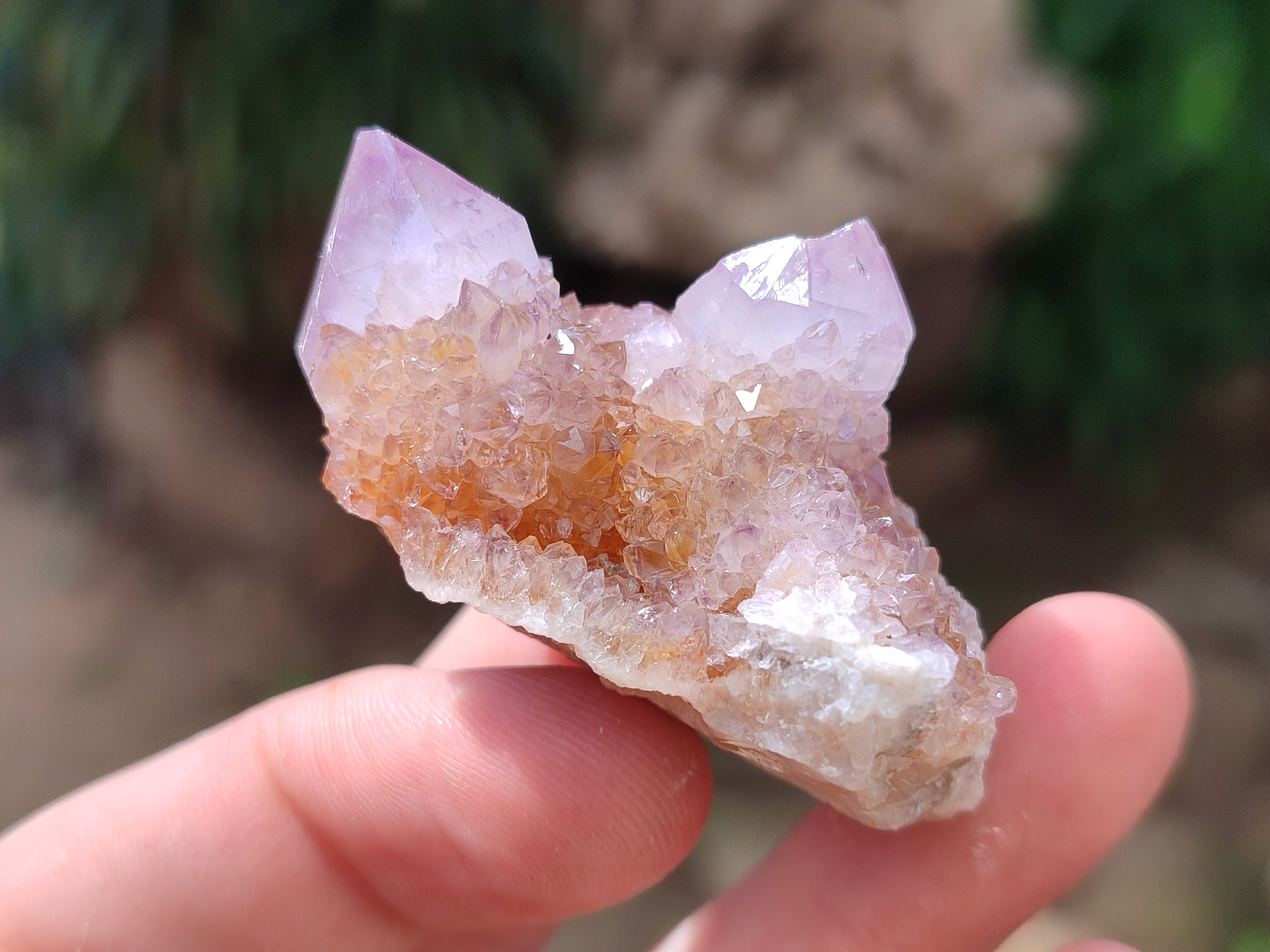 Natural Ametrine Spirit Quartz Clusters x 12 From Boekenhouthoek, South Africa - Toprock Gemstones and Minerals 