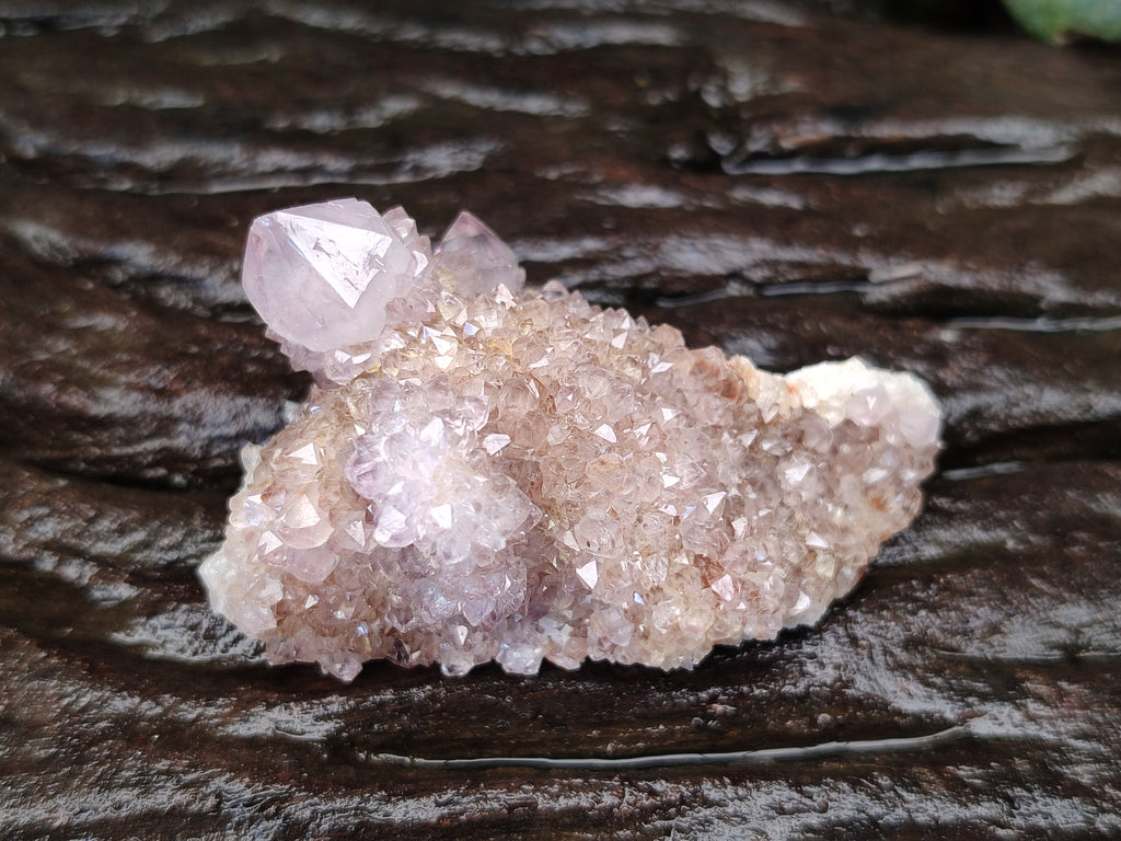 Natural Ametrine Spirit Quartz Clusters x 12 From Boekenhouthoek, South Africa - Toprock Gemstones and Minerals 