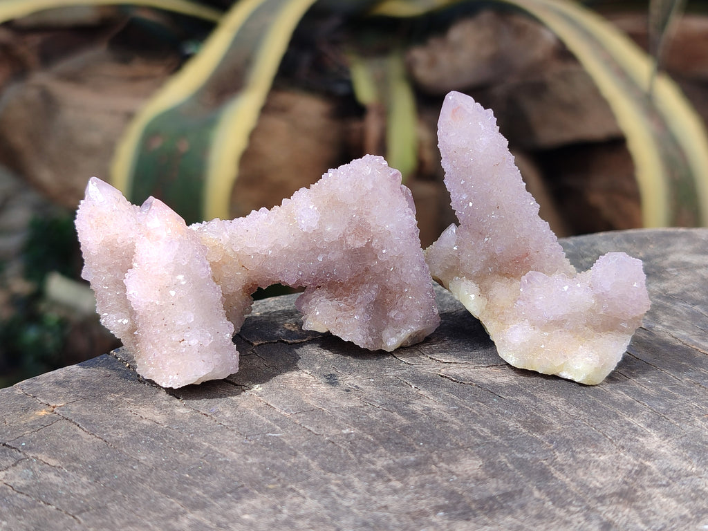 Natural Ametrine Spirit Quartz Clusters x 12 From Boekenhouthoek, South Africa - Toprock Gemstones and Minerals 