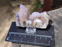 Natural Ametrine Spirit Quartz Clusters x 12 From Boekenhouthoek, South Africa