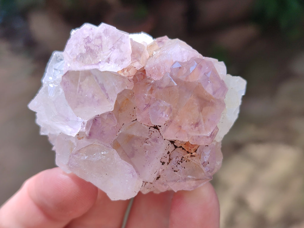 Natural Ametrine Spirit Quartz Clusters x 12 From Boekenhouthoek, South Africa - Toprock Gemstones and Minerals 