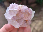 Natural Ametrine Spirit Quartz Clusters x 12 From Boekenhouthoek, South Africa - Toprock Gemstones and Minerals 