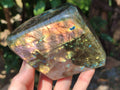 Polished Labradorite Standing Free Forms x 2 From Tulear, Madagascar - Toprock Gemstones and Minerals 