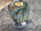 Polished Labradorite Standing Free Forms x 2 From Tulear, Madagascar - Toprock Gemstones and Minerals 