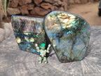 Polished Labradorite Standing Free Forms x 2 From Tulear, Madagascar - Toprock Gemstones and Minerals 