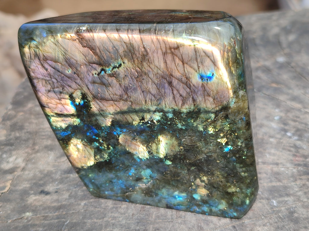 Polished Labradorite Standing Free Forms x 2 From Tulear, Madagascar - Toprock Gemstones and Minerals 