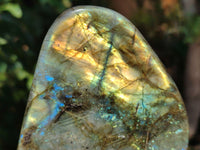 Polished Labradorite Standing Free Forms x 2 From Tulear, Madagascar