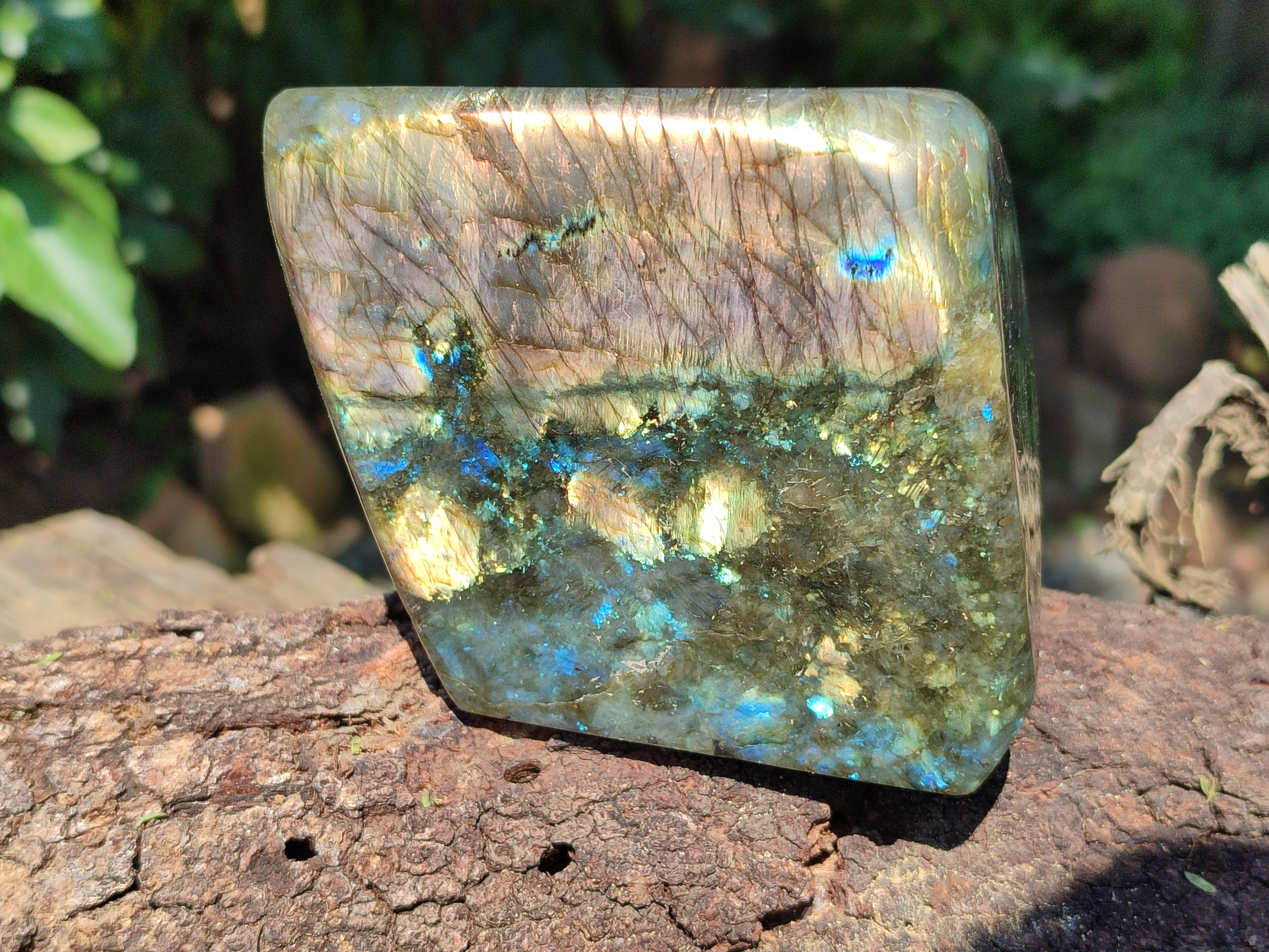 Polished Labradorite Standing Free Forms x 2 From Tulear, Madagascar - Toprock Gemstones and Minerals 