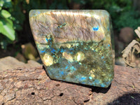 Polished Labradorite Standing Free Forms x 2 From Tulear, Madagascar