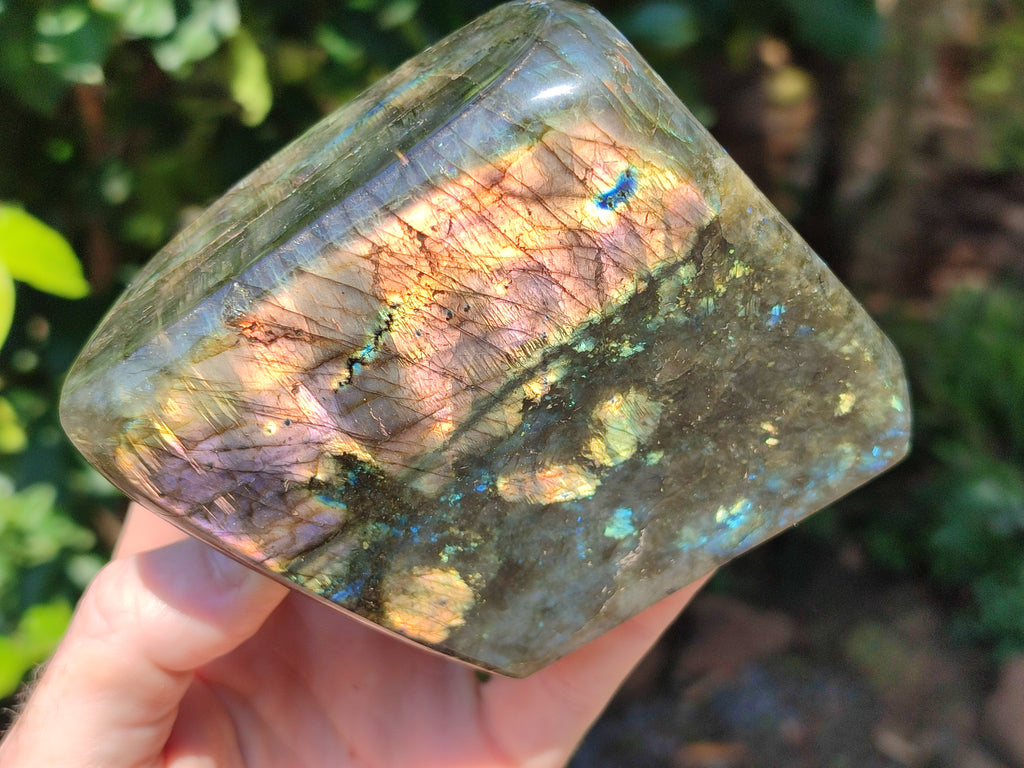 Polished Labradorite Standing Free Forms x 2 From Tulear, Madagascar - Toprock Gemstones and Minerals 