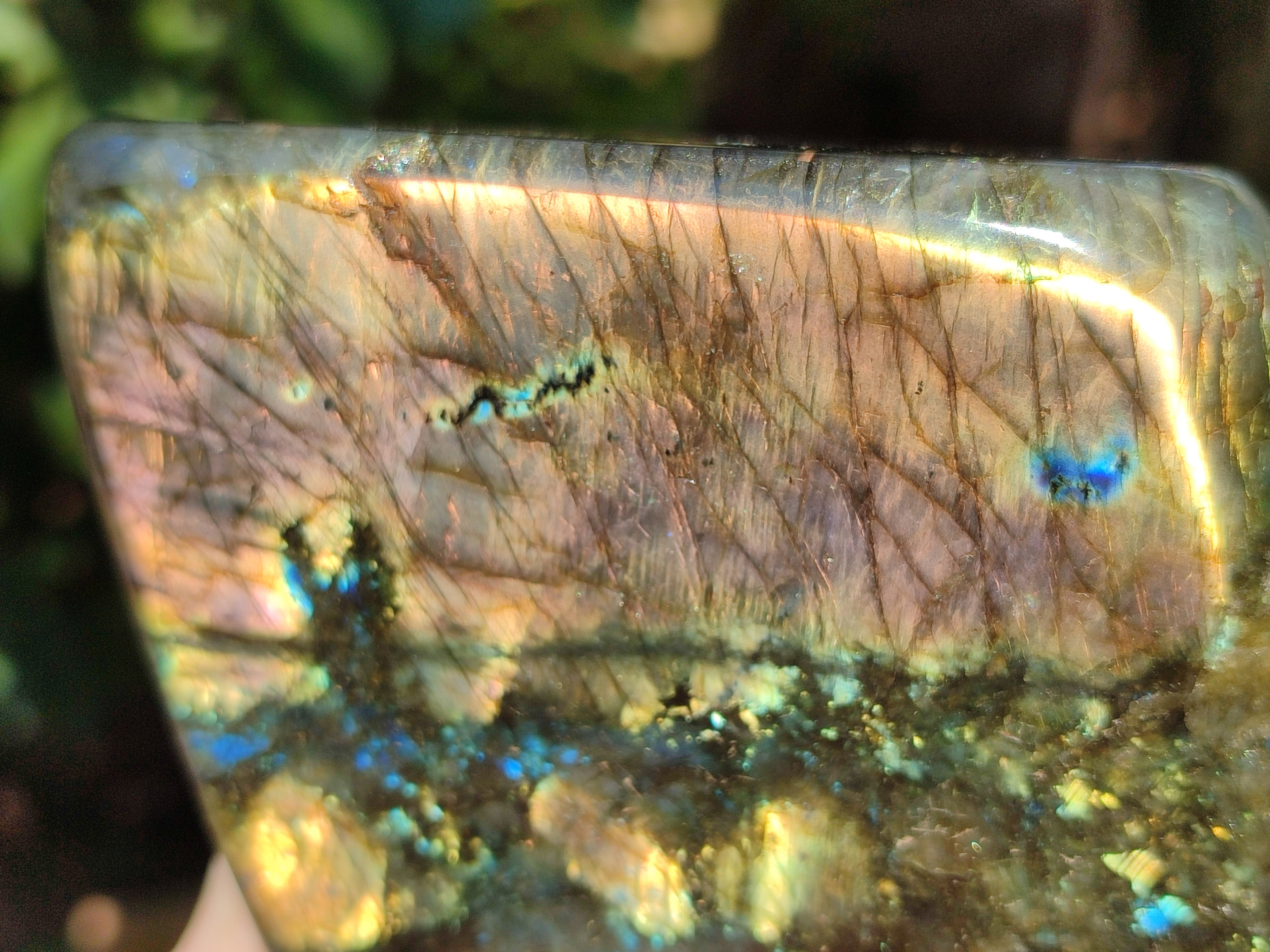 Polished Labradorite Standing Free Forms x 2 From Tulear, Madagascar - Toprock Gemstones and Minerals 