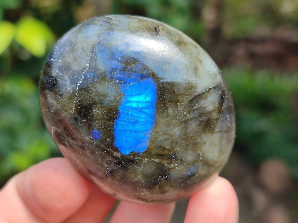 Polished Labradorite Palm Stones x 16 From Tulear, Madagascar - Toprock Gemstones and Minerals 